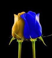 Kullanıcı avatarı